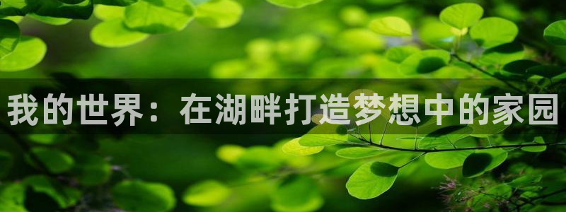 安信12是正规还是仿：我的世界：在湖畔打造梦想中的家园