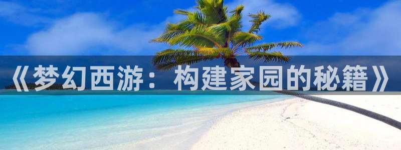 安信12级灯牌：《梦幻西游：构建家园的秘籍》