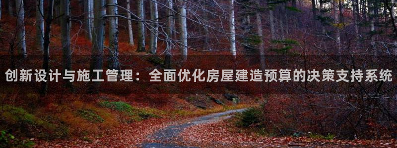下载安信12：创新设计与施工管理：全面优化房屋建造预算的决策支持系统