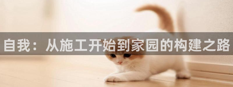 安信12正版下载：自我：从施工开始到家园的构建之路