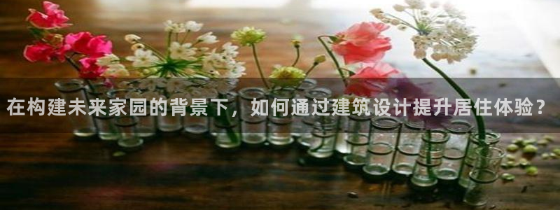 安信证券 12位
