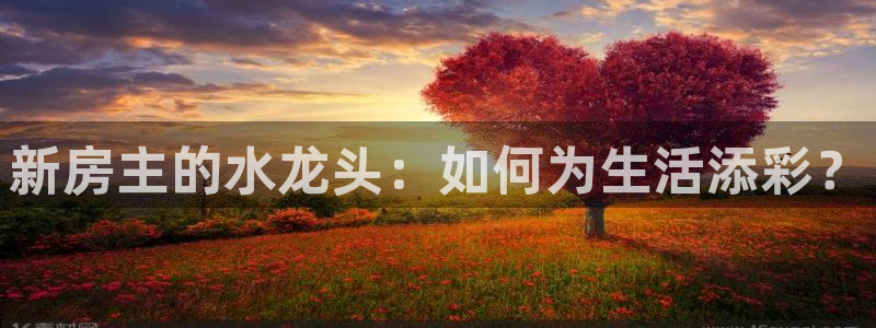 安信12级粉丝团福利：新房主的水龙头：如何为生活添彩？