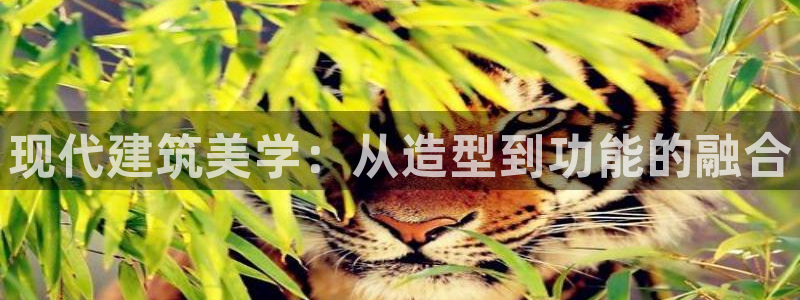 安信12注册登录下戴：现代建筑美学：从造型到功能的融合