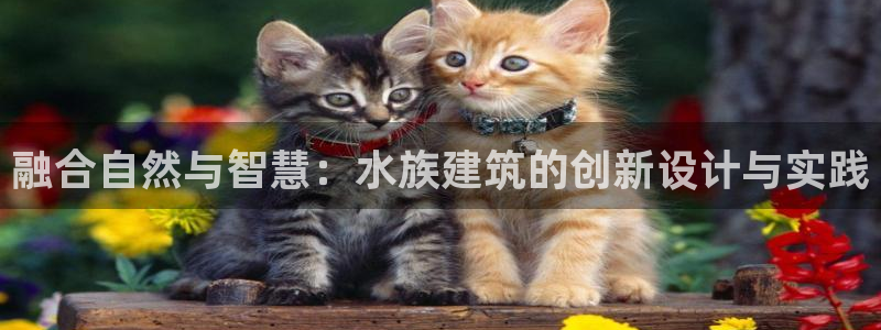 信安12乐打棒：融合自然与智慧：水族建筑的创新设计与实践