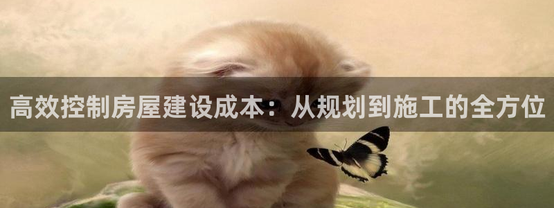 安信12是正轨网站吗：高效控制房屋建设成本：从规划到施工的全方位
