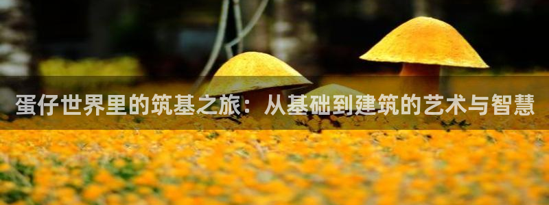 如何注销安信12软件：蛋仔世界里的筑基之旅：从基础到建筑的艺术与智慧