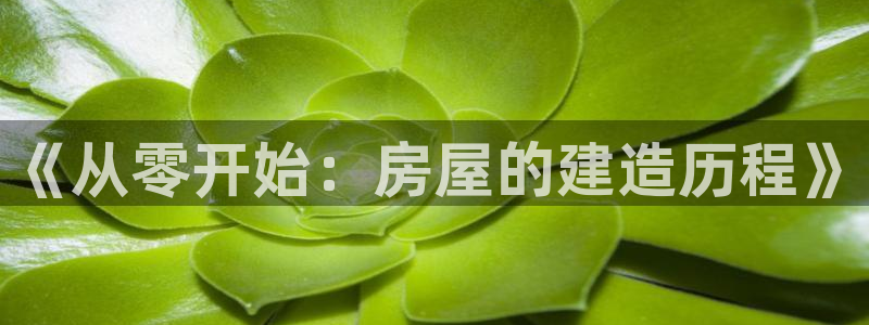 安信12正版下载：《从零开始：房屋的建造历程》