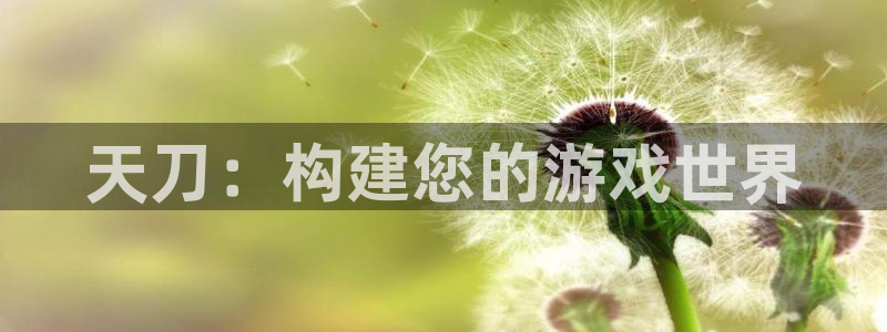 安信12娱乐代理：天刀：构建您的游戏世界