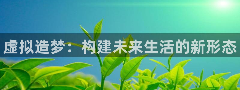安信12注册登录下戴：虚拟造梦：构建未来生活的新形态