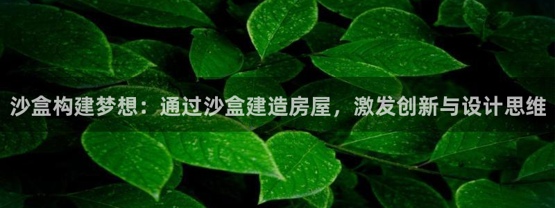 安信12是做什么