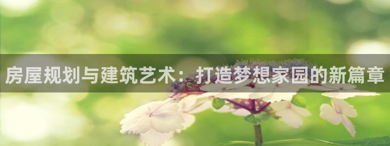 安信t12