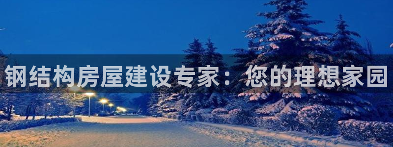 安信12是什么软件：钢结构房屋建设专家：您的理想家园