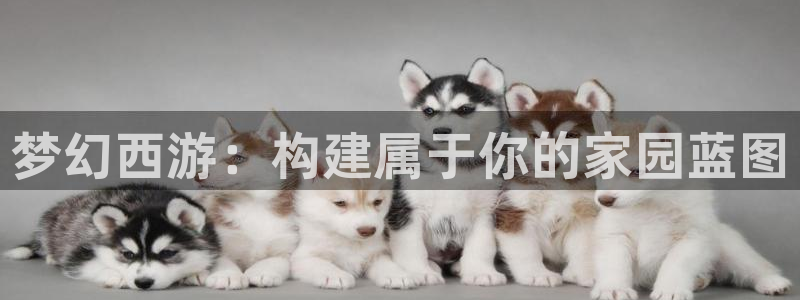 安信12娱乐开户：梦幻西游：构建属于你的家园蓝图