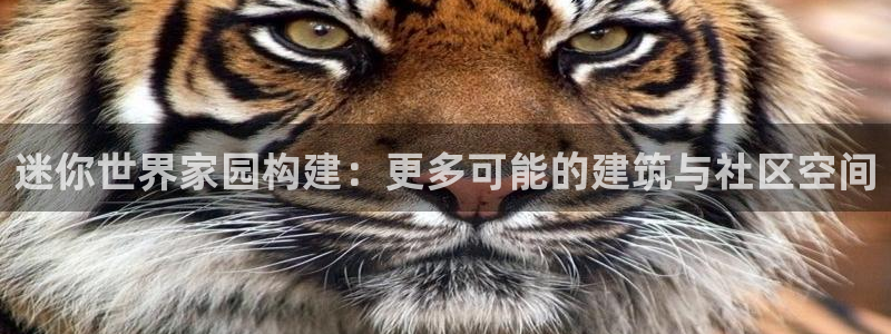 信安12：迷你世界家园构建：更多可能的建筑与社区空间