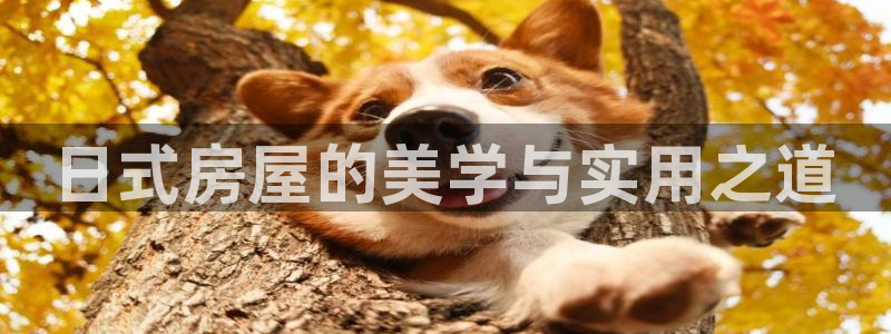 安信12账号：日式房屋的美学与实用之道