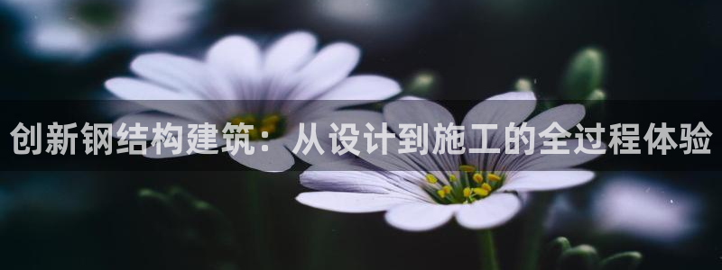 安信12是啥：创新钢结构建筑：从设计到施工的全过程体验