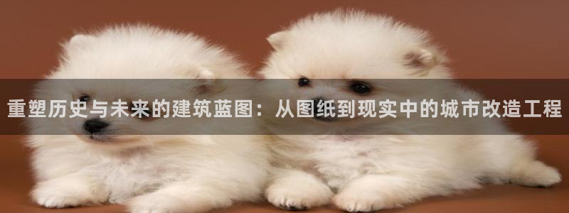安立信12改装：重塑历史与未来的建筑蓝图：从图纸到现实中的城市改造工程