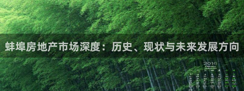 安信12级：蚌埠房地产市场深度：历史、现状与未来发展方向