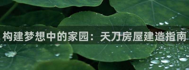安信12娱乐：构建梦想中的家园：天刀房屋建造指南