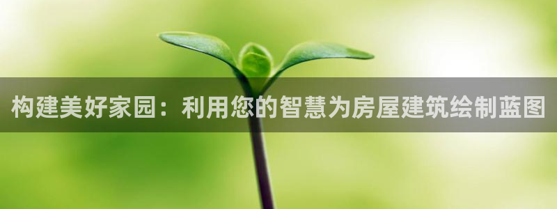 安信312 12：构建美好家园：利用您的智慧为房屋建筑绘制蓝图