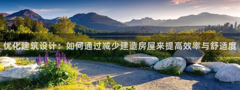 安信12是正规平台吗：优化建筑设计：如何通过减少建造房屋来提高效率与舒适度