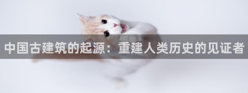 安信12级粉丝团福利：中国古建筑的起源：重建人类历史的见证者