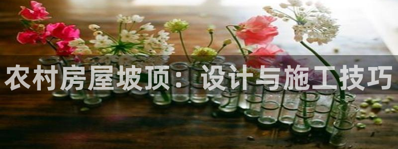 安信12官方网站查询：农村房屋坡顶：设计与施工技巧