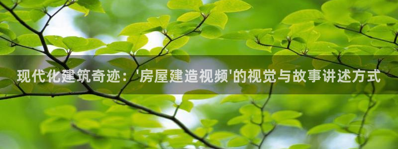 安信12娱乐登录：现代化建筑奇迹：\'房屋建造视频\'的视觉与故事讲述方式