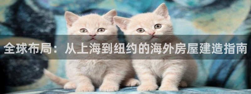 安信12登录：全球布局：从上海到纽约的海外房屋建造指南