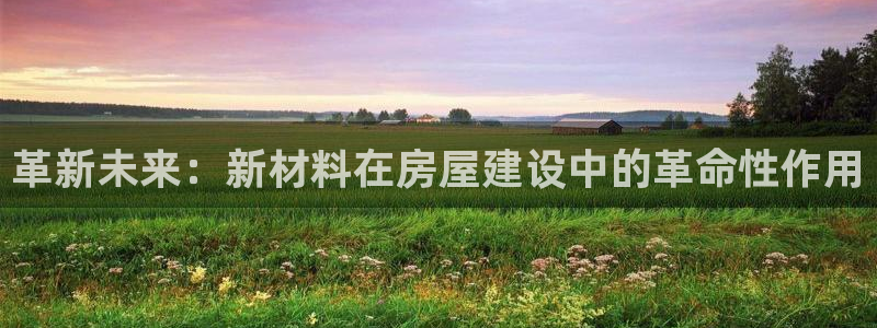 安信可12f12e：革新未来：新材料在房屋建设中的革命性作用