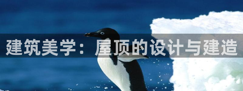 安信12是正规还是仿：建筑美学：屋顶的设计与建造