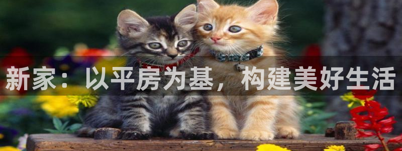安信12正版下载：新家：以平房为基，构建美好生活