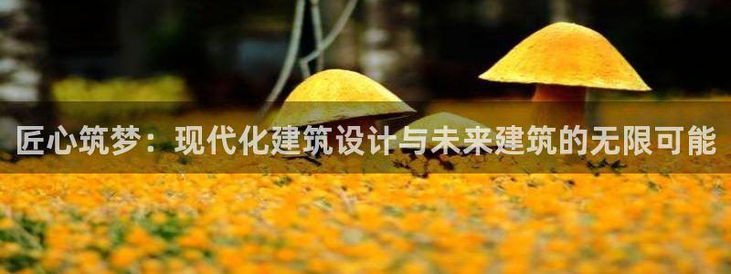 安信12平台的网址