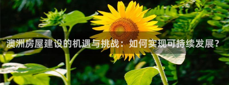 安信12app下载：澳洲房屋建设的机遇与挑战：如何实现可持续发展？