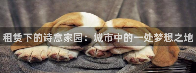 安信12包赔：租赁下的诗意家园：城市中的一处梦想之地