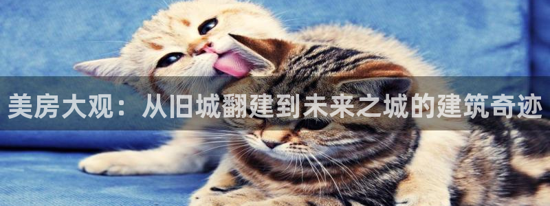 安信证券 12位：美房大观：从旧城翻建到未来之城的建筑奇迹