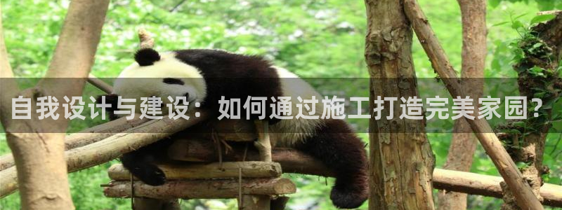 安信12主管：自我设计与建设：如何通过施工打造完美家园？