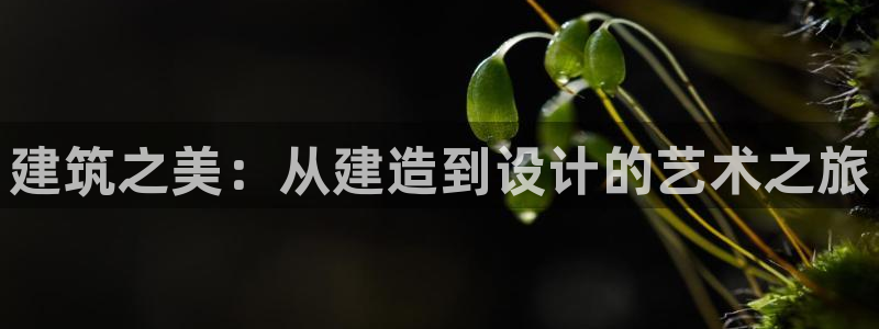 安信cwa12：建筑之美：从建造到设计的艺术之旅