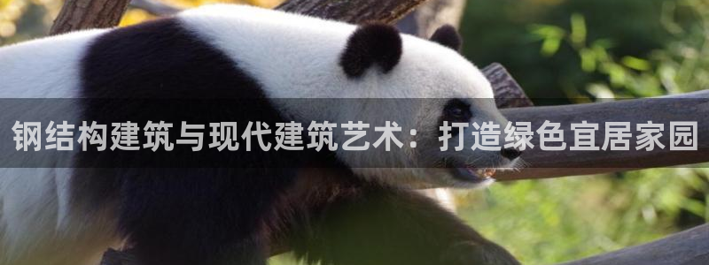 安信12周年庆典：钢结构建筑与现代建筑艺术：打造绿色宜居家园