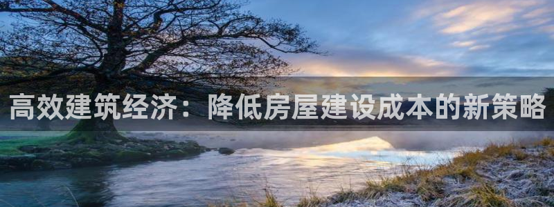 安信可f12：高效建筑经济：降低房屋建设成本的新策略