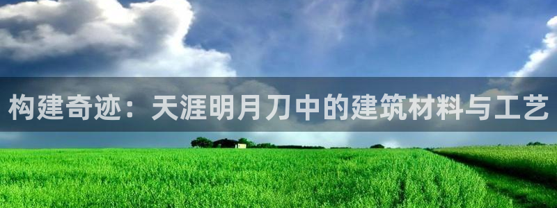 安信122853179Z空间：构建奇迹：天涯明月刀中的建筑材料与工艺