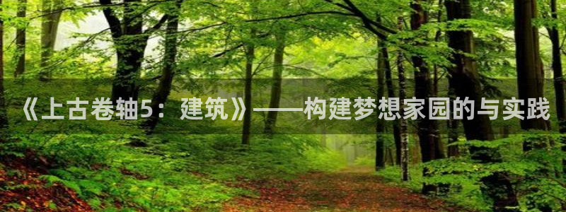安信12如何开代理：《上古卷轴5：建筑》——构建梦想家园的与实践
