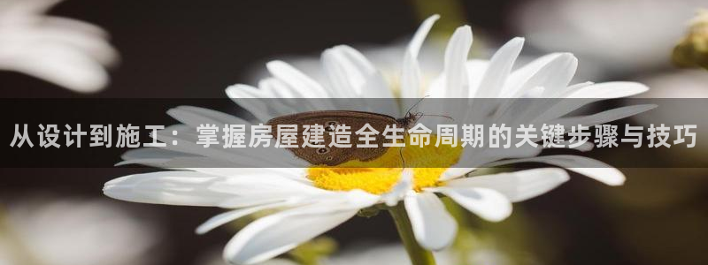 安信4娱乐去55 12：从设计到施工：掌握房屋建造全生命周期的关键步骤与技巧
