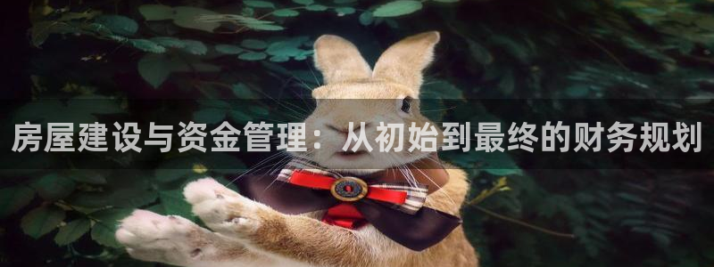 安信12正版下载：房屋建设与资金管理：从初始到最终的财务规划