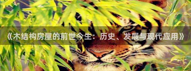 安信可12e12f：《木结构房屋的前世今生：历史、发展与现代应用》