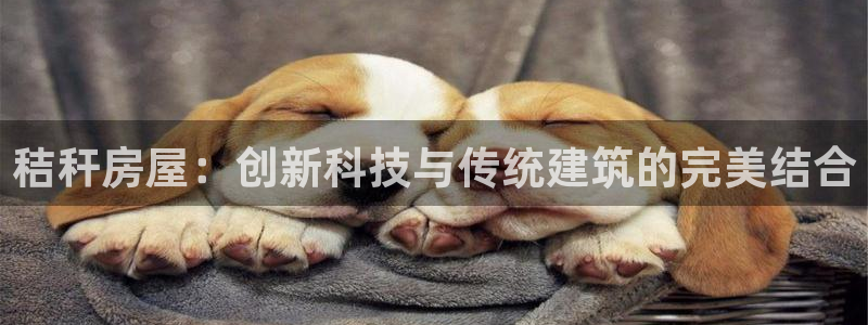 安信12代理：秸秆房屋：创新科技与传统建筑的完美结合