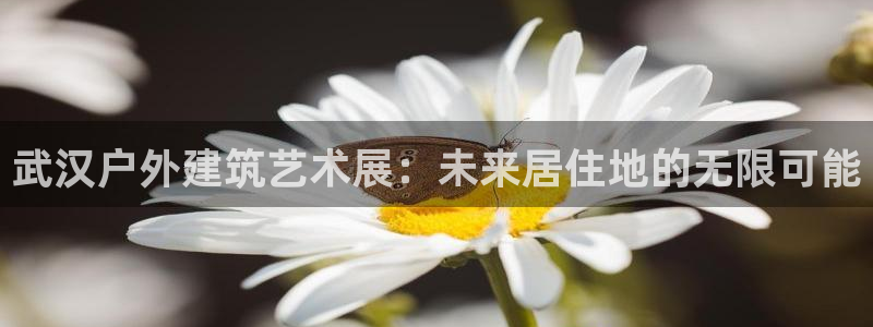 安信12平台官网：武汉户外建筑艺术展：未来居住地的无限可能