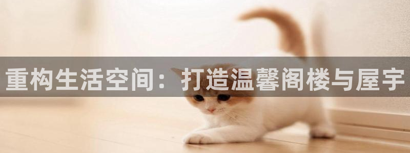 信安12乐打棒：重构生活空间：打造温馨阁楼与屋宇