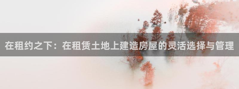 安信12是啥：在租约之下：在租赁土地上建造房屋的灵活选择与管理