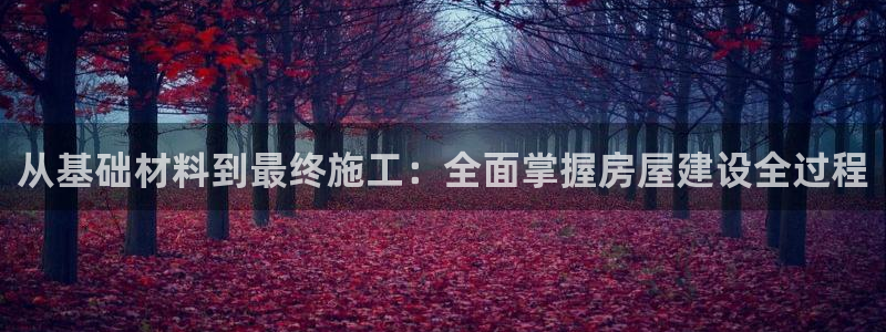 安信12是什么平台：从基础材料到最终施工：全面掌握房屋建设全过程